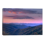 Newfound Gap, Great Smoky Mountains National Park, North Carolina // Tim Fitzharris