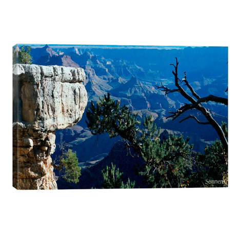 H- Grand Canyon // Gordon Semmens (40"W x 26"H x 1.5"D)