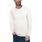 Slim Crew Neck Sweater // Off White (L)