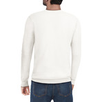 Slim Crew Neck Sweater // Off White (L)