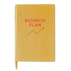 Business Plan (Small Book)