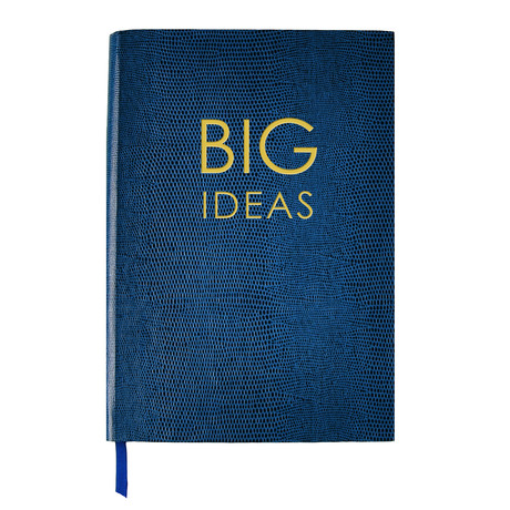Big Ideas (Small Book)