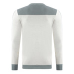 Anchor Sweater // Green + Beige (S)