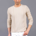 Travis Tricot Sweater // Beige (M)