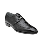 Rovigo Shoes // Black (US: 11.5)