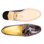 Bari Shoes // Brown (US: 8.5)