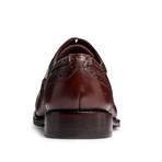 Ford Quarter Brogue Oxford // Chocolate Brown (US: 7.5)