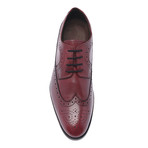 Regan Wingtip Derby // Oxblood (US: 9.5)