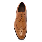 Regan Wingtip Derby // Walnut (US: 10.5)