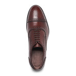 Ford Quarter Brogue Oxford // Chocolate Brown (US: 7.5)