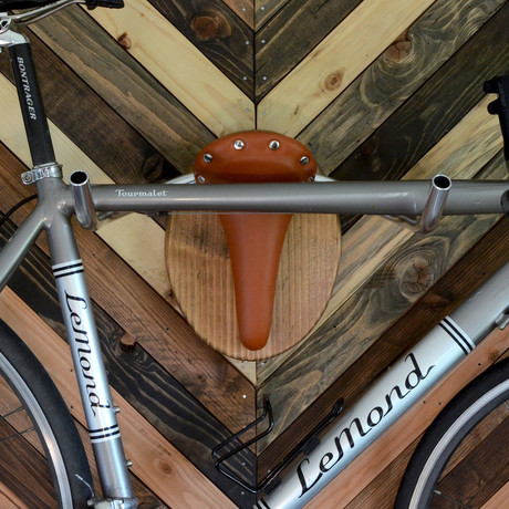 Bicycle Wall Display // Bicycle Taxidermy // "The Longhorn"