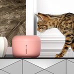 Moda-Pure // Ultra-Quiet Filtered Dog + Cat Fountain Waterer (Pink)