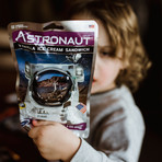 Astronaut Ice Cream Sandwiches // Set of 12 (Neopolitan)