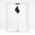 Space Box // Siberian Sikhote Alin Meteorite // Ver. 6