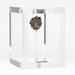 Space Box // Siberian Sikhote Alin Meteorite // Ver. 2