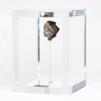 Space Box // Siberian Sikhote Alin Meteorite // Ver. 3