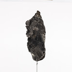 Space Box // Siberian Sikhote Alin Meteorite // Ver. 4