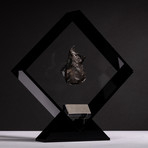 Siberian Sikhote Alin Meteorite + Acrylic Display // Ver. 1