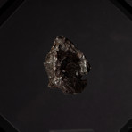 Siberian Sikhote Alin Meteorite + Acrylic Display // Ver. 3