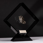 Siberian Sikhote Alin Meteorite + Acrylic Display // Ver. 4