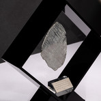 Swedish Muonionalusta Meteorite + Acrylic Display
