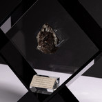 Siberian Sikhote Alin Meteorite + Acrylic Display // Ver. 3