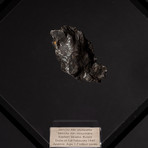 Siberian Sikhote Alin Meteorite + Acrylic Display // Ver. 4