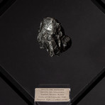 Siberian Sikhote Alin Meteorite + Acrylic Display // Ver. 5