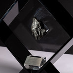 Siberian Sikhote Alin Meteorite + Acrylic Display // Ver. 5
