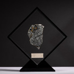 Magadanskaya Oblast Seymchan Meteorite with Olivine + Acrylic Display // Ver. 1