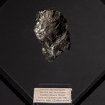 Siberian Sikhote Alin Meteorite + Acrylic Display // Ver. 2