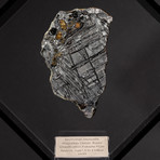 Magadanskaya Oblast Seymchan Meteorite with Olivine + Acrylic Display // Ver. 1