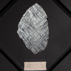Swedish Muonionalusta Meteorite + Acrylic Display