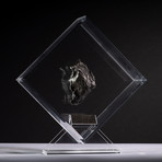 Sikhote Alin Meteorite // Siberia // Transparent Acrylic Display // Ver. 3