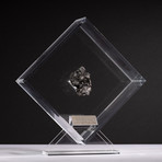 Siberian Sikhote Alin Meteorite + Acrylic Display // Ver. 8