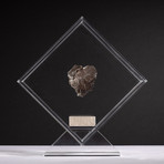 Sikhote Alin Meteorite // Siberia // Transperent Acrylic Display // Ver. 6