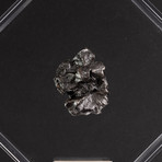 Siberian Sikhote Alin Meteorite + Acrylic Display // Ver. 8