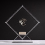 Siberian Sikhote Alin Meteorite + Acrylic Display // Ver. 10