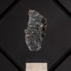 Magadanskaya Oblast Seymchan Meteorite with Olivine + Acrylic Display // Ver. 2