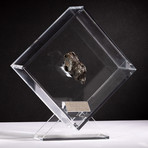 Sikhote Alin Meteorite // Siberia // Transparent Acrylic Display // Ver. 1