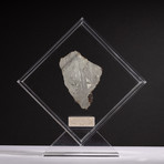 Magadanskaya Oblast Seymchan Meteorite + Acrylic Display // Ver. 5