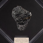 Magadanskaya Oblast Seymchan Meteorite // Transparent Acrylic Display // Ver. 6