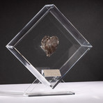 Sikhote Alin Meteorite // Siberia // Transperent Acrylic Display // Ver. 6