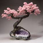 The Love Tree // Rose Quartz Tree + Amethyst Matrix // Custom v.5