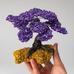 The Empowerment Tree // Amethyst Tree + Citrine Matrix // Large