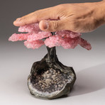 The Love Tree // Rose Quartz Tree + Amethyst and Calcite Matrix // Custom