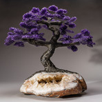 The Empowerment Tree // Amethyst Tree + Citrine Matrix // Custom