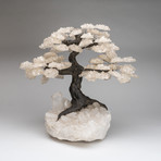 The Healing Tree // White Quartz Tree + Quartz Crystal Matrix // Custom XL