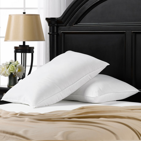 Overstuffed Plush Allergy Resistant Gel Filled Side/Back Sleeper Pillow // Set of 2 (Standard)