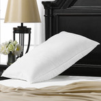 Overstuffed Plush Allergy Resistant Gel Filled Side/Back Sleeper Pillow (Standard)
